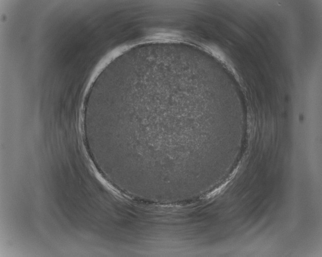 X0000067501421200604101219