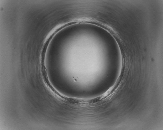 X0000067501422200604101219