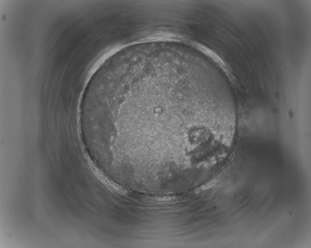 X0000067501423200604101219