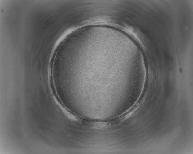 X0000067501424200604101219