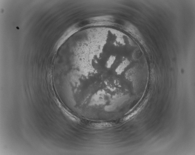 X0000067501425200604101219