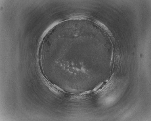 X0000067501427200604101219