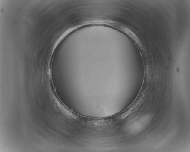 X0000067501428200604101219