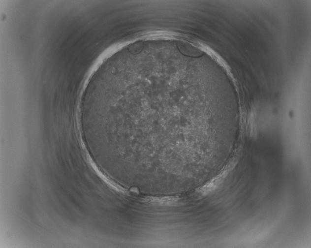 X0000067501429200604101219