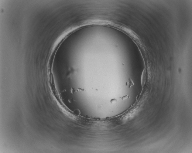 X0000067501430200604101219