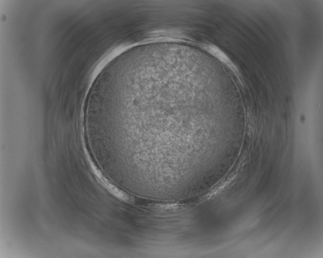 X0000067501431200604101219