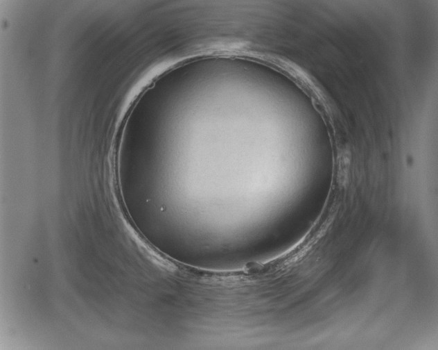 X0000067501432200604101219