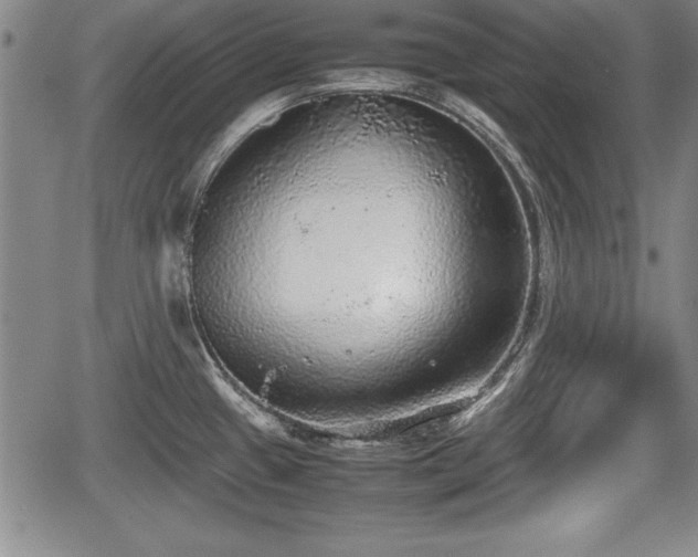 X0000067501433200604101219