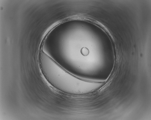 X0000067501434200604101219