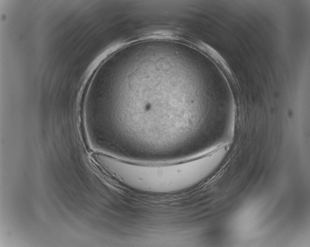 X0000067501435200604101219