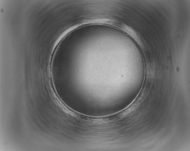 X0000067501436200604101219