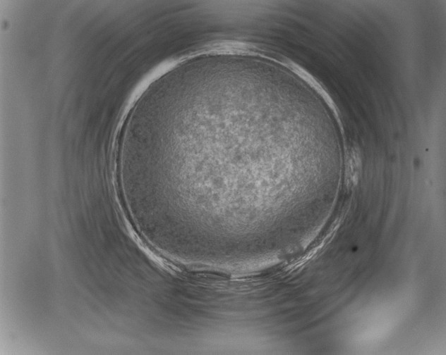 X0000067501437200604101219