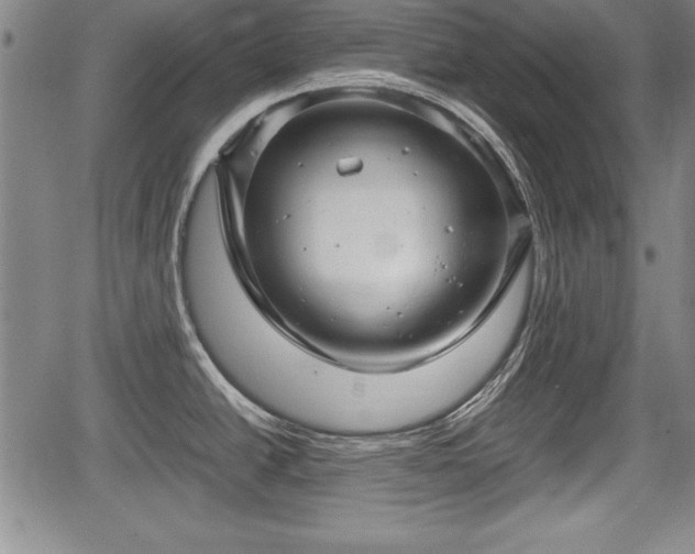 X0000067501438200604101219