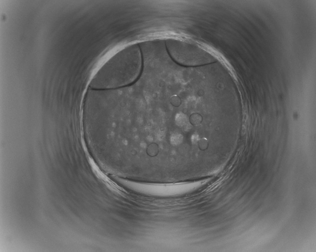 X0000067501439200604101219