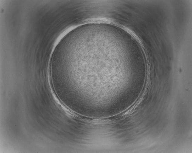 X0000067501440200604101219