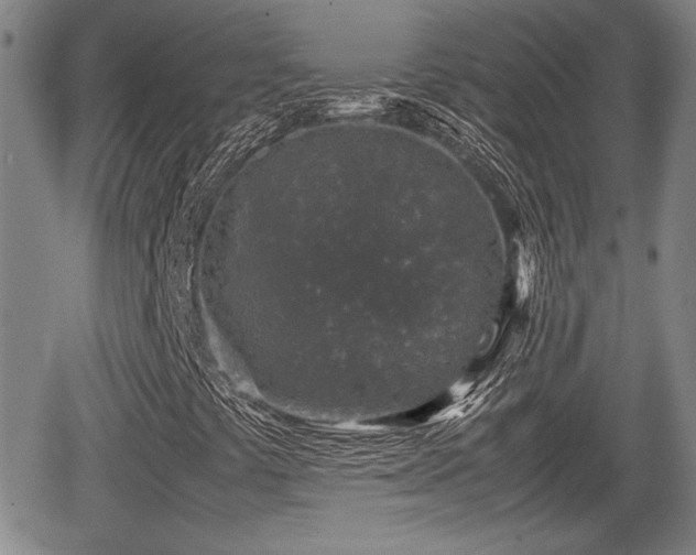 X0000067501441200604101219