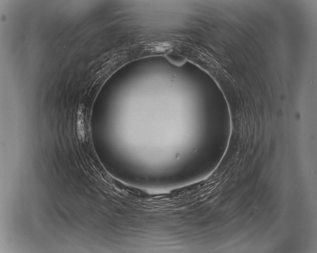 X0000067501442200604101219