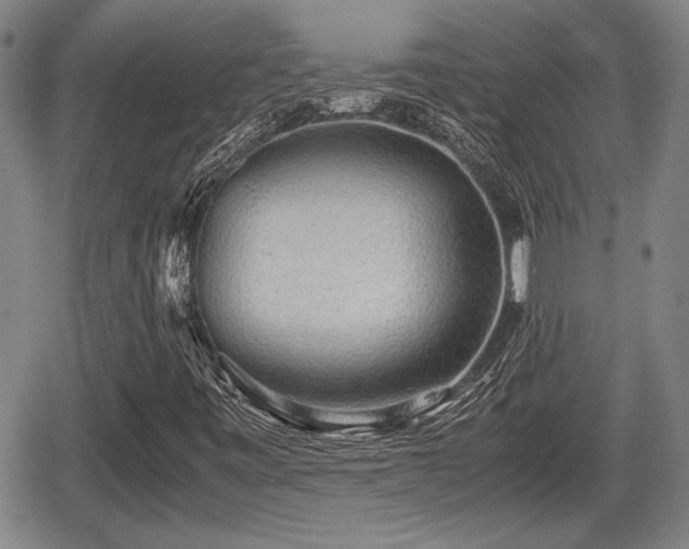 X0000067501443200604101219