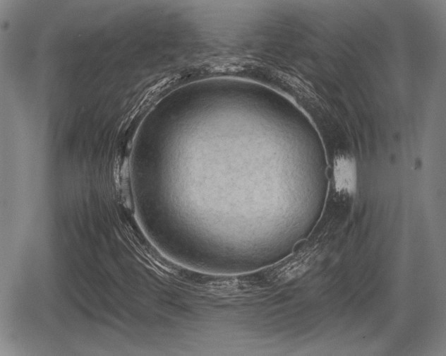 X0000067501444200604101219