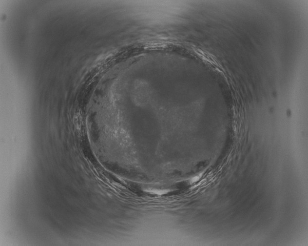 X0000067501445200604101218