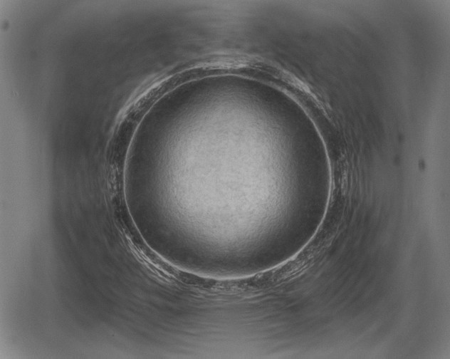 X0000067501448200604101218