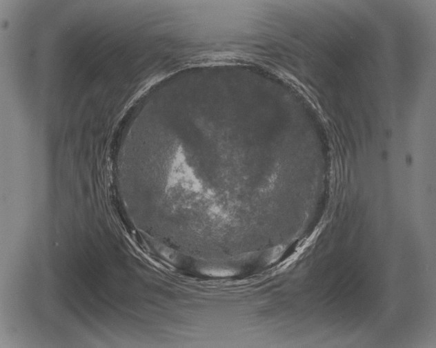 X0000067501449200604101218