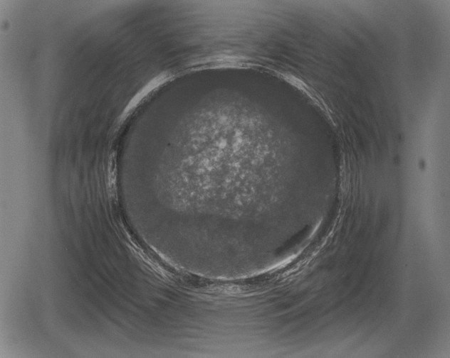 X0000067501450200604101218