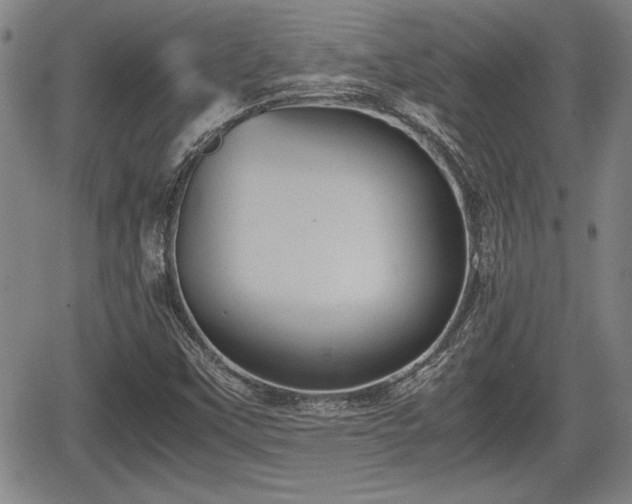 X0000067501451200604101218