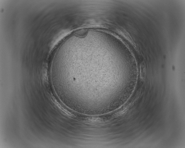 X0000067501452200604101218