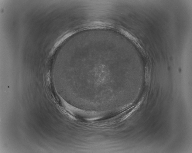 X0000067501453200604101218