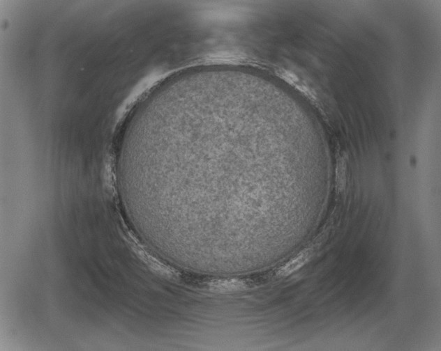 X0000067501454200604101218