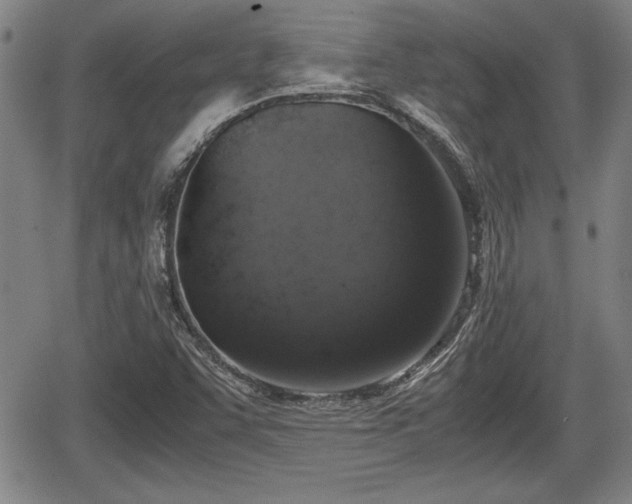 X0000067501455200604101218