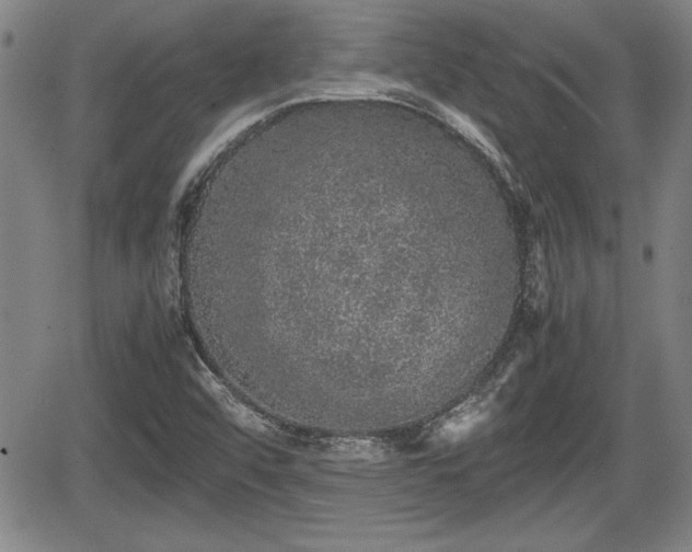 X0000067501456200604101218