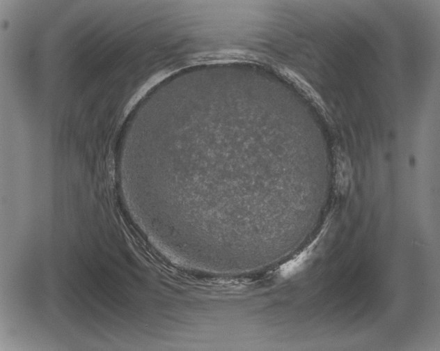 X0000067501457200604101218