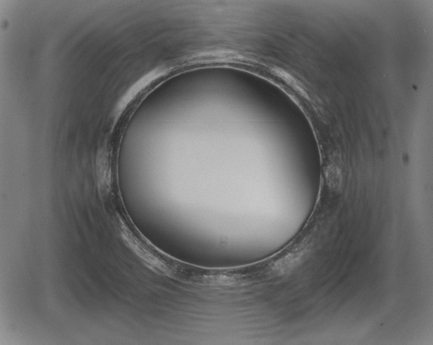 X0000067501458200604101218