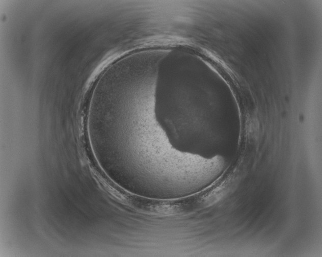 X0000067501459200604101218