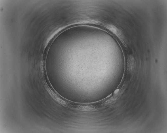 X0000067501460200604101218