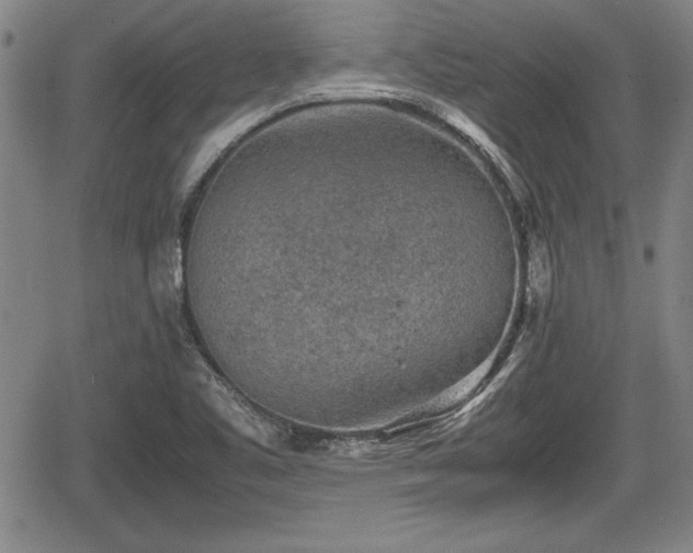 X0000067501461200604101218