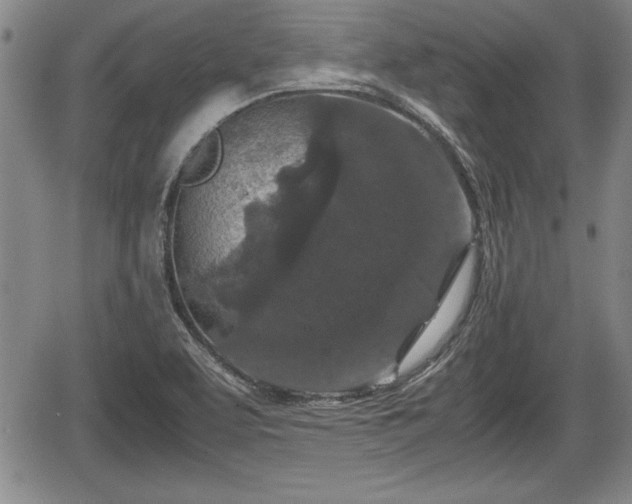 X0000067501463200604101218