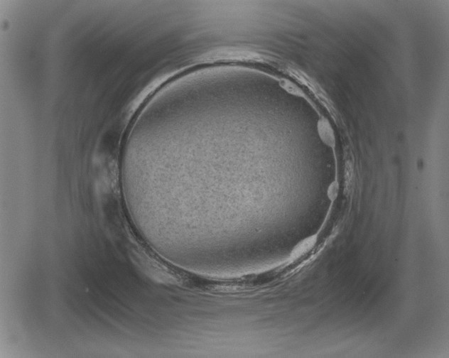 X0000067501465200604101218