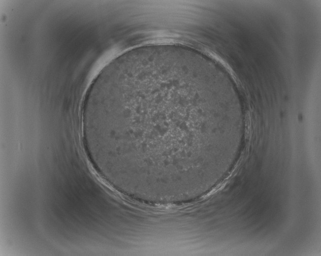 X0000067501467200604101218