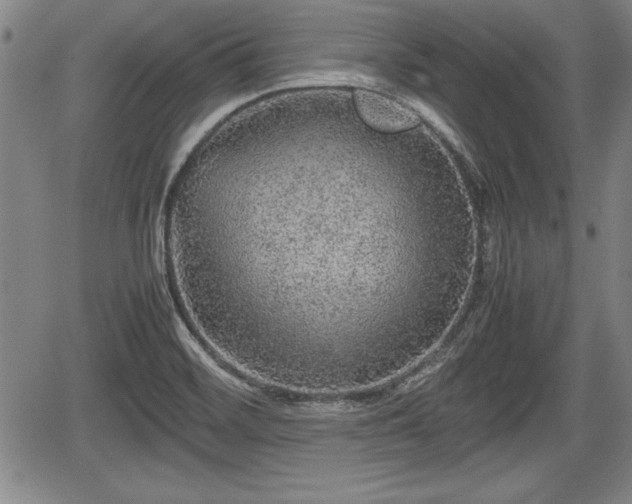 X0000067501468200604101218