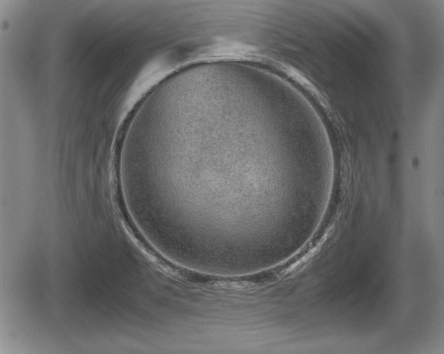 X0000067501469200604101218