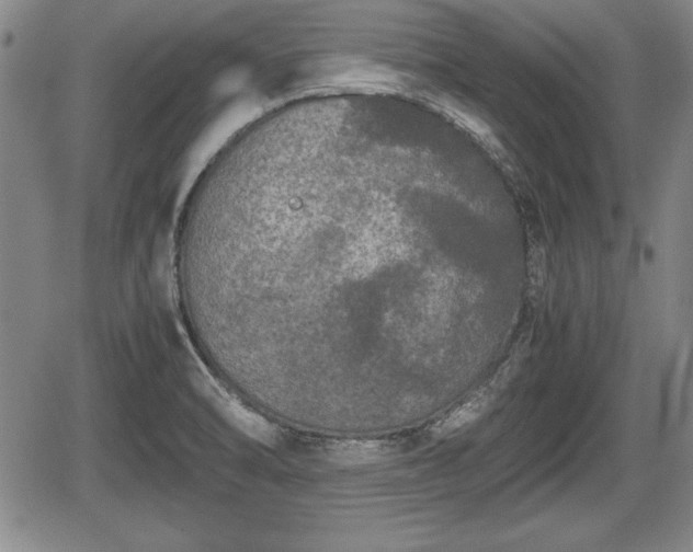 X0000067501470200604101218