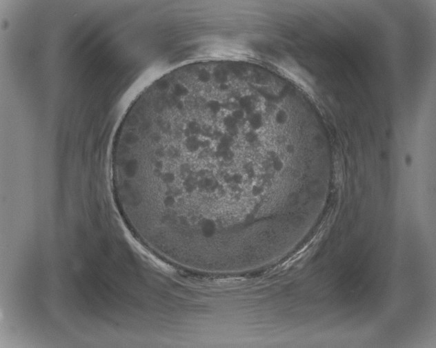 X0000067501471200604101218