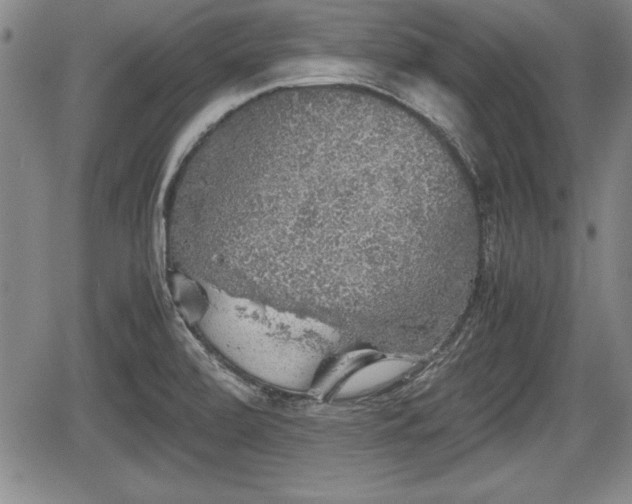 X0000067501472200604101218