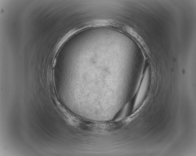 X0000067501473200604101218