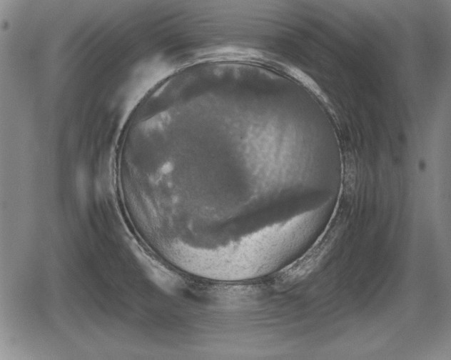 X0000067501474200604101218