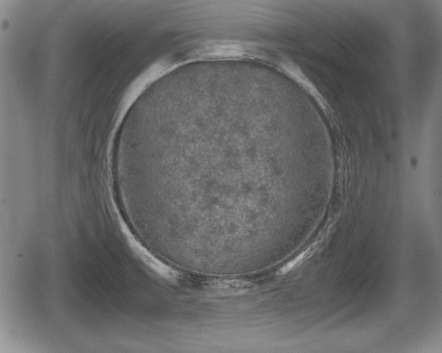 X0000067501475200604101218