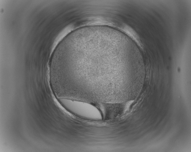 X0000067501476200604101218